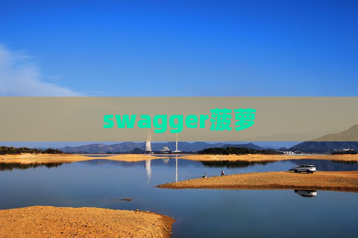 swagger菠萝